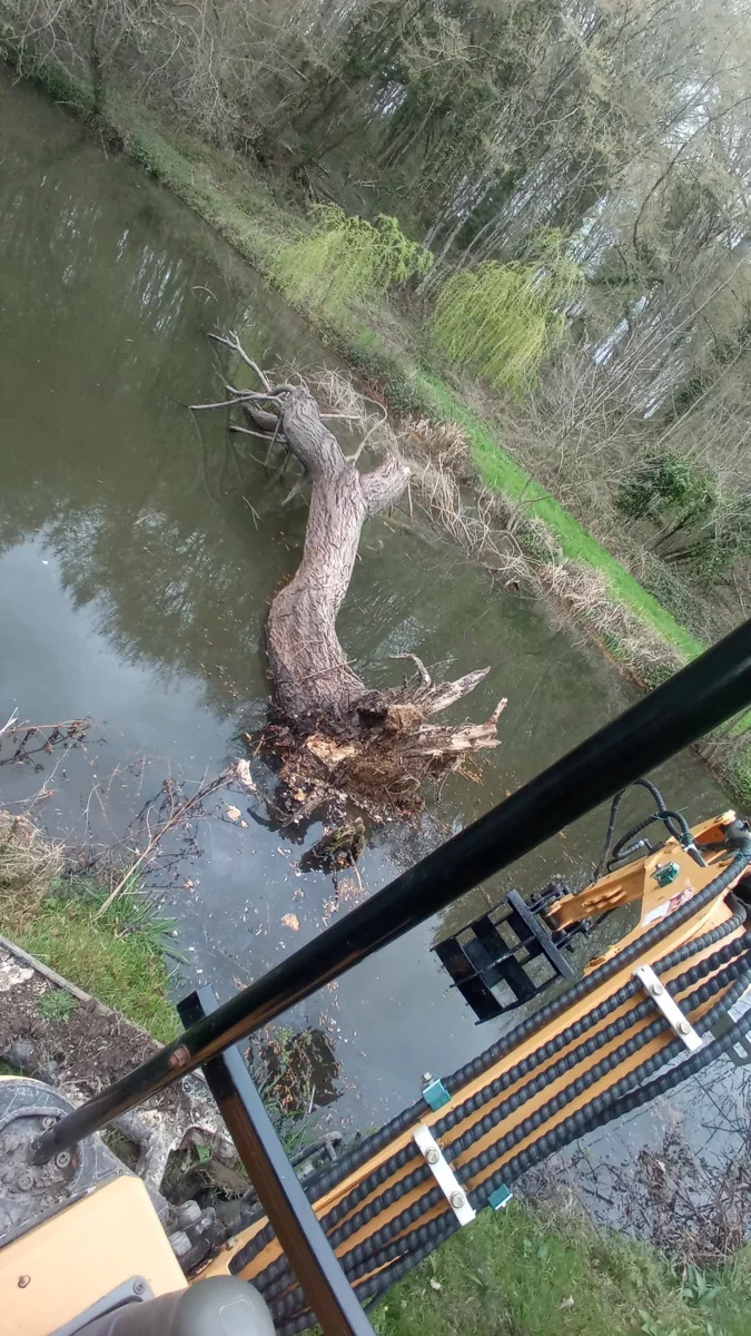 Élagage et abattage d'arbres, MAX.S Paysagiste