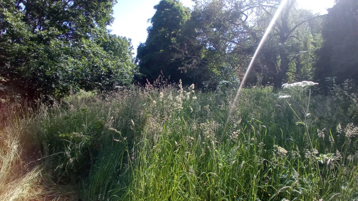 Fauchage terrain, Loiret, Loiret (45), MAX.S Paysagiste
