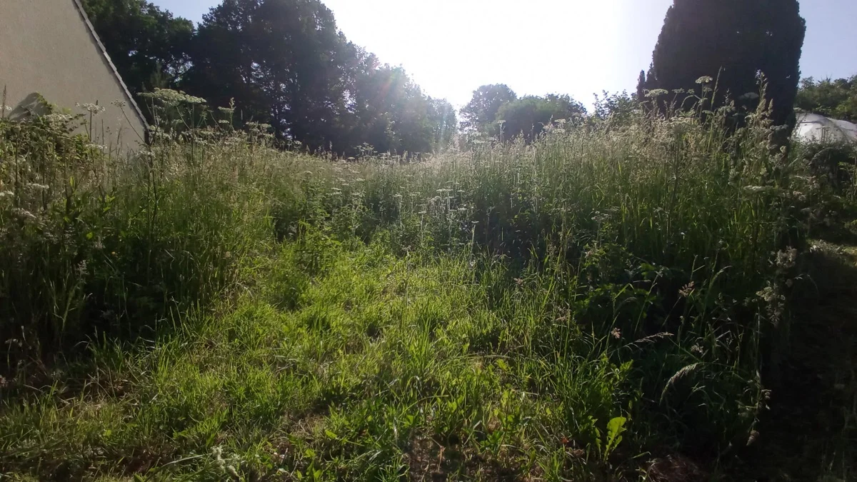 Fauchage terrain en friche, Nièvre, MAX.S Paysagiste