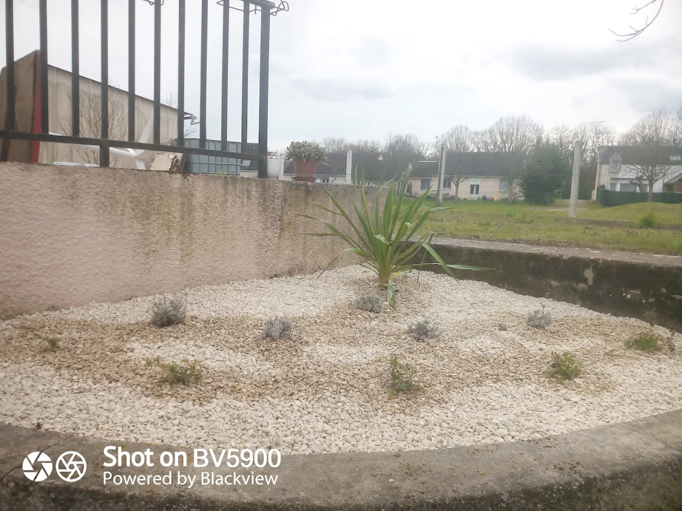 Massifs décoratifs gravier et plantations, Bonny-sur-Loire (45), MAX.S Paysagiste