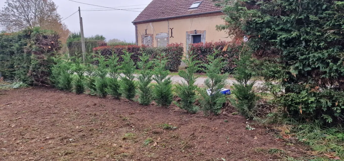 Plantation rangée de thuyas, Sancerre (18), MAX.S Paysagiste